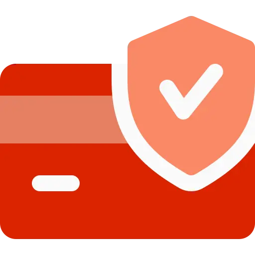 100% Secure Payment